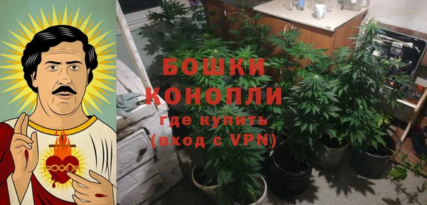 соль ск Иннополис